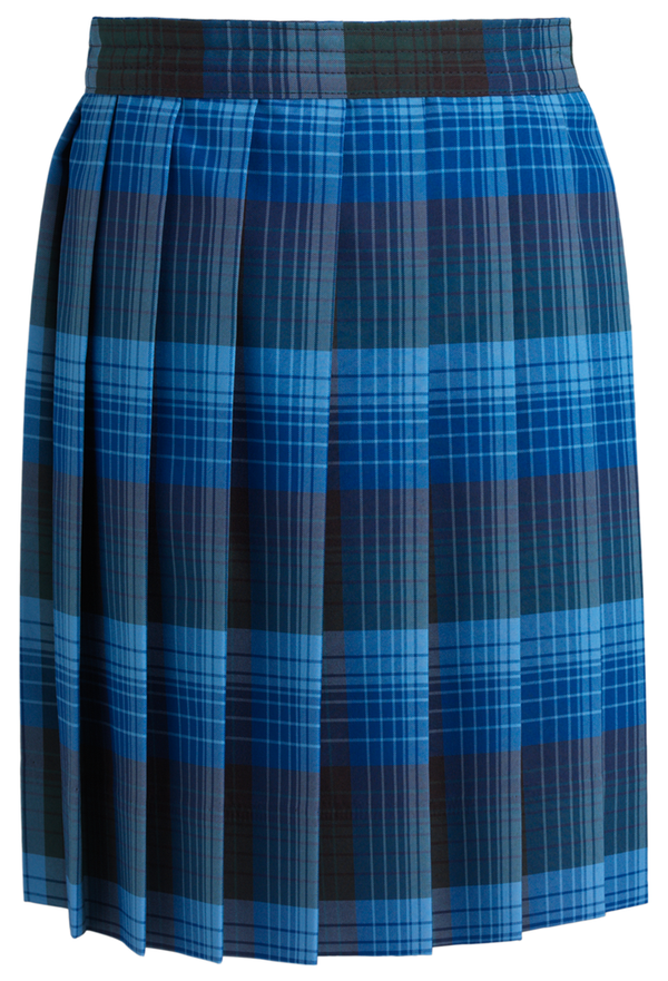 Douglas Plaid Knife Pleat Skirt - LIMITED AVAILABILITY - PLD46
