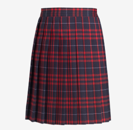 SCA- Elementary School Knife Pleat Plaid Skirt