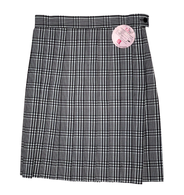 Plus size plaid retailers skirt 8x10